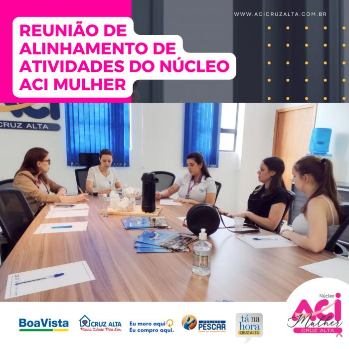 REUNIÃO DE ALINHAMENTO DE ATIVIDADES DO NÚCLEO ACI MULHER