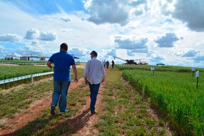 Presidente visitou Dia de Campo